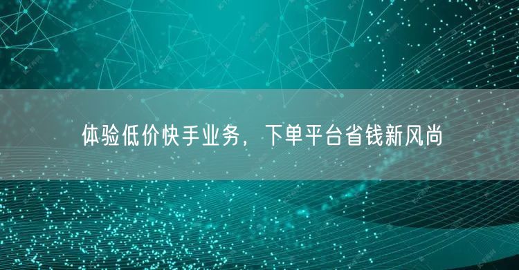 体验低价快手业务，下单平台省钱新风尚
